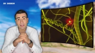 با خوردن این غذا تمام رگهای بدنت را تمیز کن! | Eat This To Clean Your Vessels