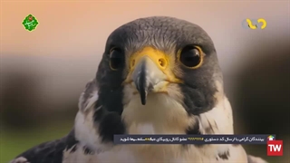 اَبَرطبیعی ؛ 2022 ؛ فصل 1 ؛ قسمت 3