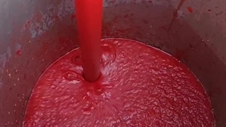 تولید رب گوجه و سس کچاپ با میکسر هموژنایزر