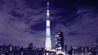 ویدیویی زیبا