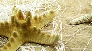 ویدیویی زیبا