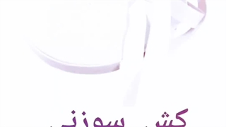 فروش عمده و خرده کش سوزنی پهن تبریز