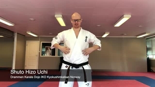 Shuto Hizo Uchi