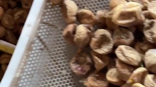 خرید و قیمت پودر انجیر کال و خوراکی