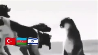 واقعاً