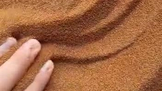 خاکشیر سورت لیزر