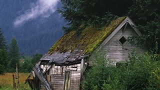 ترانه:زندگیمو زیر این سقف با تو اندازه میگیرم