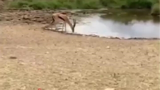 هرگز نزار حرکت بعدی تو دشمن حدس بزنه