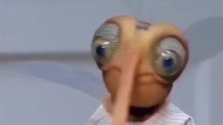 پشه زن حامله نیش زده .. برنامه مهمونی