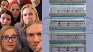 ضرر کردی اگه این قفس رو نبینی