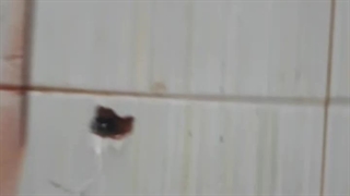 رفع نشتی لوله آب