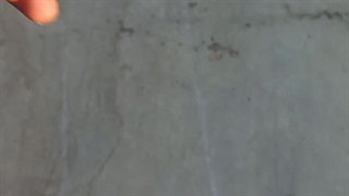 فن سانتریفیوژ صنعتی در شیراز 09177002700