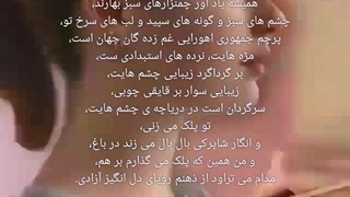 ویدیو شعر، ویدیو نقاشی، مهدی بابایی ( سوشیانت )