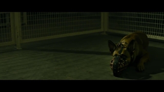 فیلم سگ  با دوبله فارسی/Dog 2022