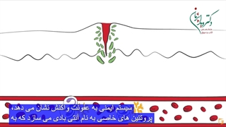 روماتیسم قلبی