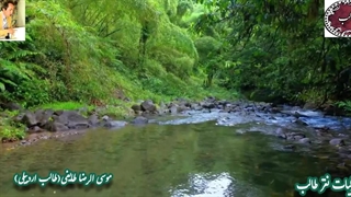 بر مسند خیال با صدای سخن عشق در دایره ی مینا از غزلیات شورانگیز شاهکار طالب اردبیلی با چکامه ی هیأت گلها