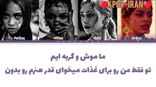 لیریک اهنگ cat and mouse از بلک سوان زیرنویس فارسی