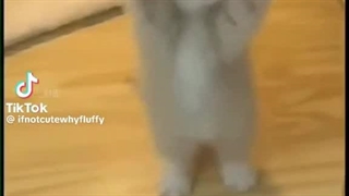 دوستان اگه اوتاکو هستین این چنل رو @aniiimmmmdarkدنبال کنید