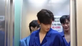 نونو شکری(کپ)