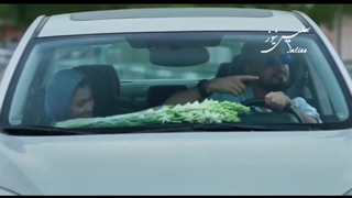 نگاهی به سریال «پوست شیر» ساخته جمشید محمودی