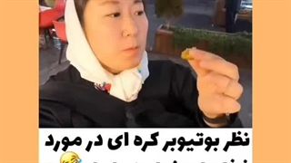 یوتوبر کره ای در مورد غذاهای خیابونی ایران (درخواستی)