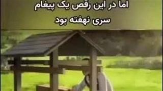 مکان یابی زنبورها