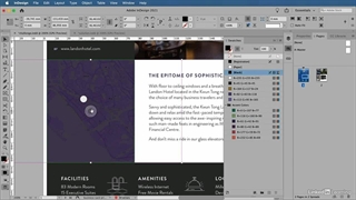 آموزش حرفه ای ایندیزاین تکنیکهای کارامدی - گرافیسم