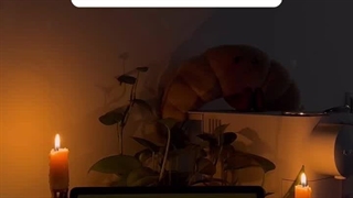 کیدرامرها بیاین بگید که غیر از این نیست......