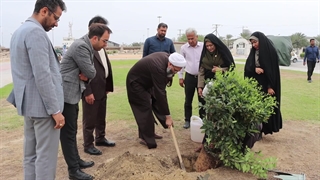 روز درختکاری در پارک مرجان قشم