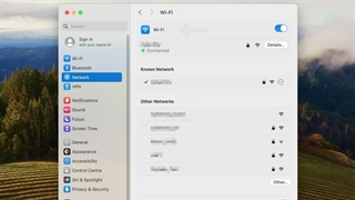 how to use proxy server on mac