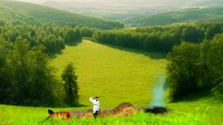 نبرد طاهای سفید با کرم سرزمین فرمانده