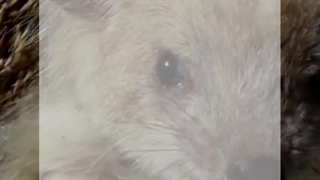 طبیعت قبرس قسمت اول