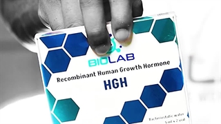 نمونه ادیت اینستاگرامی برند بیولب ۳