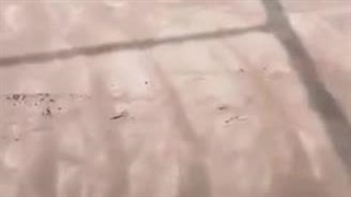 سقف عرشه فولادی درایلام.تهران.شیراز.تبریز.مشهد.قم.سمنان.مشهد.