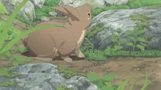 انیمه کوتاه و زیبای طوفان نورادا (taifuu noruda) به زبان انگلیسی توضیحات (خیلی بسیارزیاد مهم)