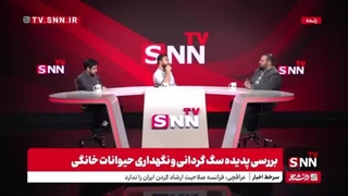 سگ‌ها یک کودک را خوردند!