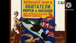 The Haunebu Nazi ufo history low pitch