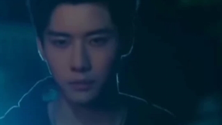 به زودی شور  جنگل بارانی