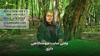 طراحی سایت در آستارا