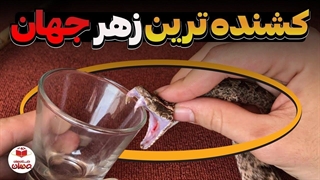 چرا نیش مارها این‌ قدر کشنده است؟