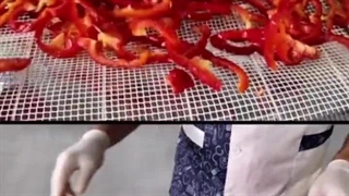 طرز خشک کردن فلفل دلمه ای قرمز با دستگاه خشک کن 09138900047