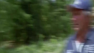 چوب بران باتلاق 3 دی 1402