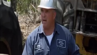 چوب بران باتلاق 6 اسفند 1402