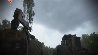 چوب بران باتلاق 14 اسفند 1402