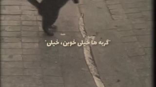 گوربههه... بخدا امروز ۱۰ بار گالریمو نگاه کردم از بس که نت ندارمم