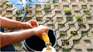 شامپو واکس بدنه خودرو سوناکس Sonax Wash & Wax