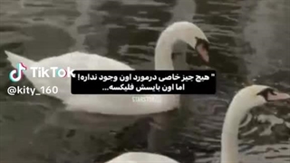 اینترنتم بهتر شد :) ♡