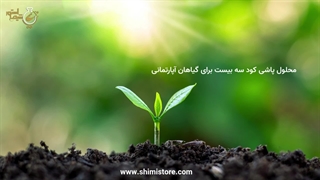 محلول پاشی کود سه بیست برای گیاهان آپارتمانی