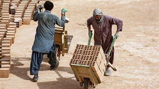 دلیل به کارگیری مهاجرین افغانستانی توسط کارفرمایان